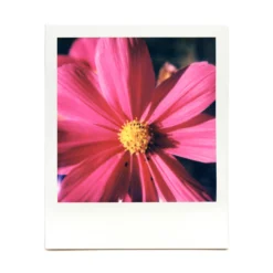 Macro Lens Set 39 Macro Lens Set -Polaroid Store SegevMacro2