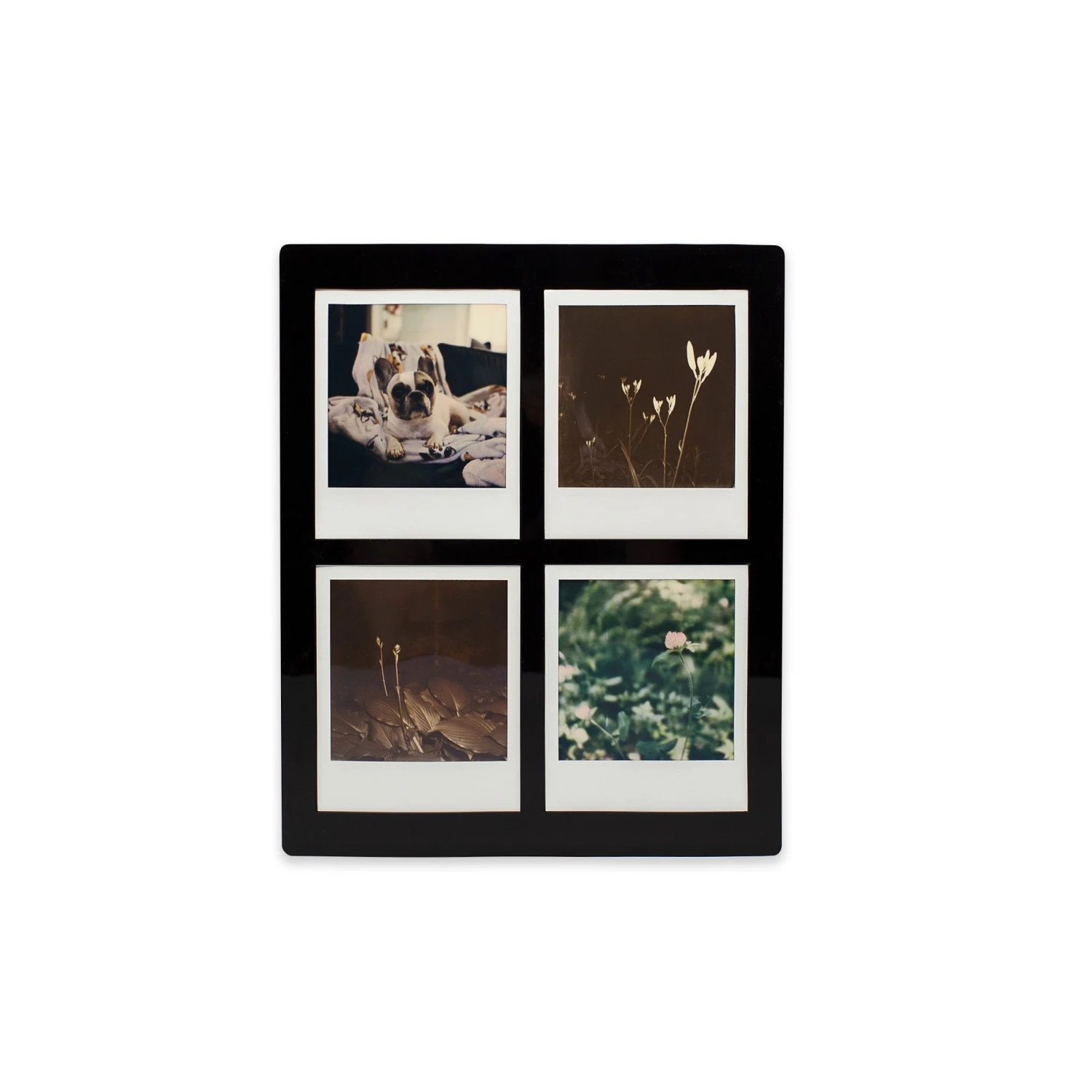 Instant Scan Adapter V2 :: Standard 3 Instant Scan Adapter V2 :: Standard