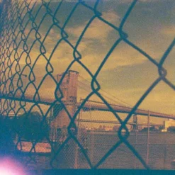 Lomography Lobster :: Color -Polaroid Store julien piscioneri birgit buchart Lobster 110 9